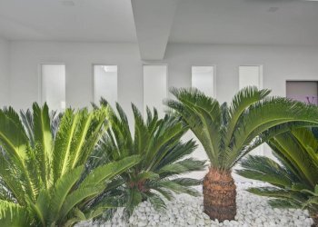 Interno palazzo - Office via Abate Antonio Vassalli Eandi, 24, Torino (neighborhood Cit Turin) - photo 5