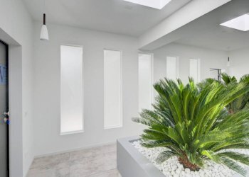 Interno palazzo - Office via Abate Antonio Vassalli Eandi, 24, Torino (neighborhood Cit Turin) - photo 6