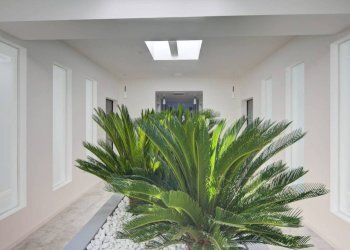 Interno palazzo - Office via Abate Antonio Vassalli Eandi, 24, Torino (neighborhood Cit Turin) - photo 7