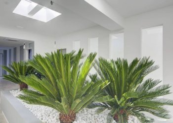 Interno palazzo - Office via Abate Antonio Vassalli Eandi, 24, Torino (neighborhood Cit Turin) - photo 8