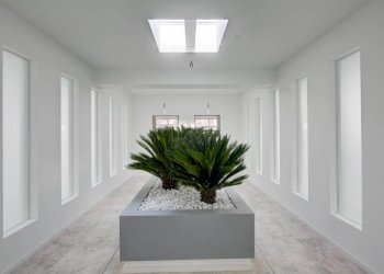 Interno palazzo - Office via Abate Antonio Vassalli Eandi, 24, Torino (neighborhood Cit Turin) - photo 32