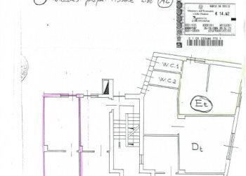 Commercial Activity Torino - photo 2