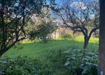 WhatsApp Image 2025-01-21 at 12.51.29 (6).jpeg - Villa Tremestieri Etneo - foto 8