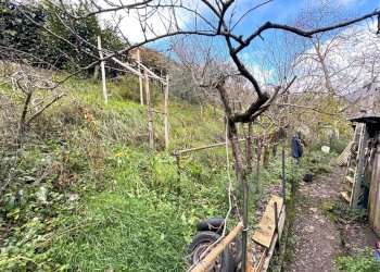 giardino - Appartamento Via del Bisenzio, Vernio - foto 25
