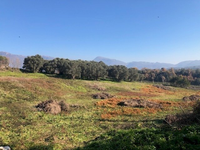 3.jpg - Terreno edificabile Via Colle Spinello snc, Guidonia Montecelio - foto 3
