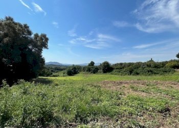 2.jpg - Terreno edificabile Via Colle Spinello snc, Guidonia Montecelio - foto 2