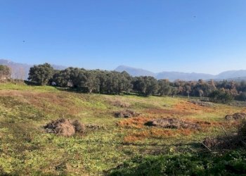 3.jpg - Terreno edificabile Via Colle Spinello snc, Guidonia Montecelio - foto 3