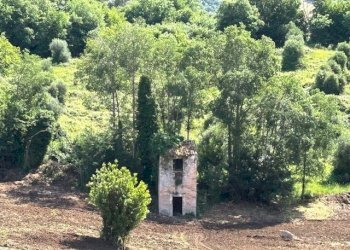 5.jpg - Terreno edificabile Via Colle Spinello snc, Guidonia Montecelio - foto 5