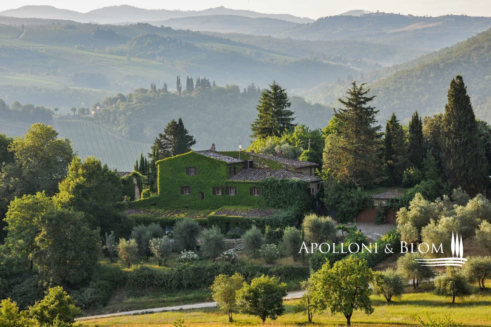 Casale SR 222 Chiantigiana, 25, Castellina in Chianti - photo 3