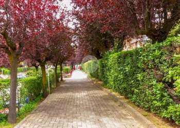 Quadrilocale Via sestriere, Rivoli - foto 35