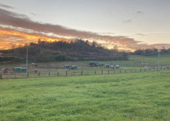 Appartamento Moncucco Torinese - foto 22