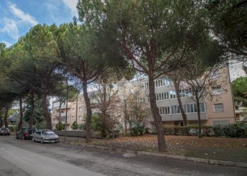 Two-room apartment Via Platone, Cervia - photo 23