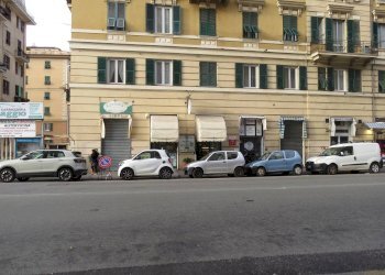 Bar - Tabacchi - Ricevitoria Via Monticelli, 22, Genova (zona Marassi) - foto 10