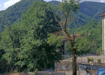 Terratetto - Terracielo Via Casigni 15, Castiglione dei Pepoli - foto 21