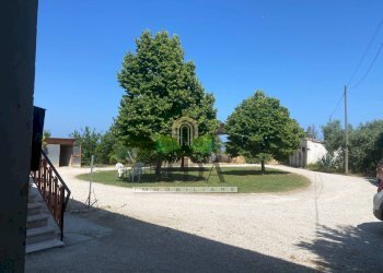 Foto 2 - Casa indipendente Via Palombare, Sant'Omero - foto 2