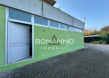 Foto 15 - Locale Commerciale VIA AURELIA
 
91/B, Loreggia - foto 15