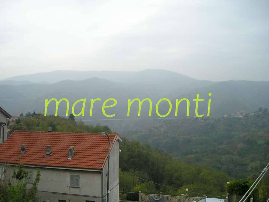 Foto 2 - Appartamento via longagnini, Quiliano - foto 1