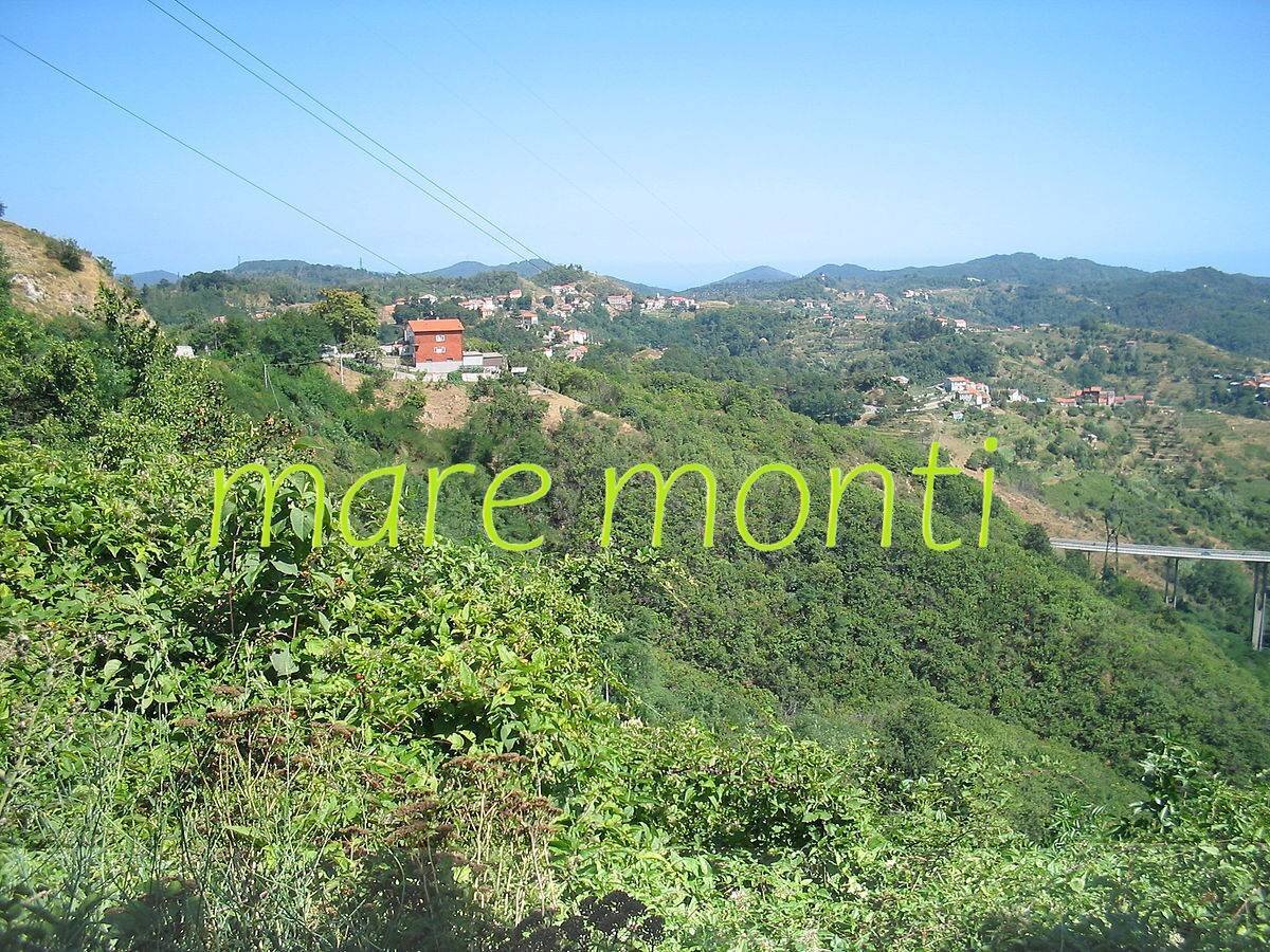 Foto 3 - Appartamento via longagnini, Quiliano - foto 2