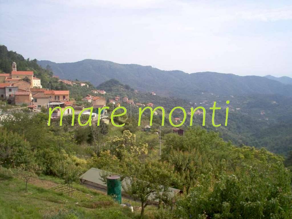 Foto 4 - Appartamento via longagnini, Quiliano - foto 3