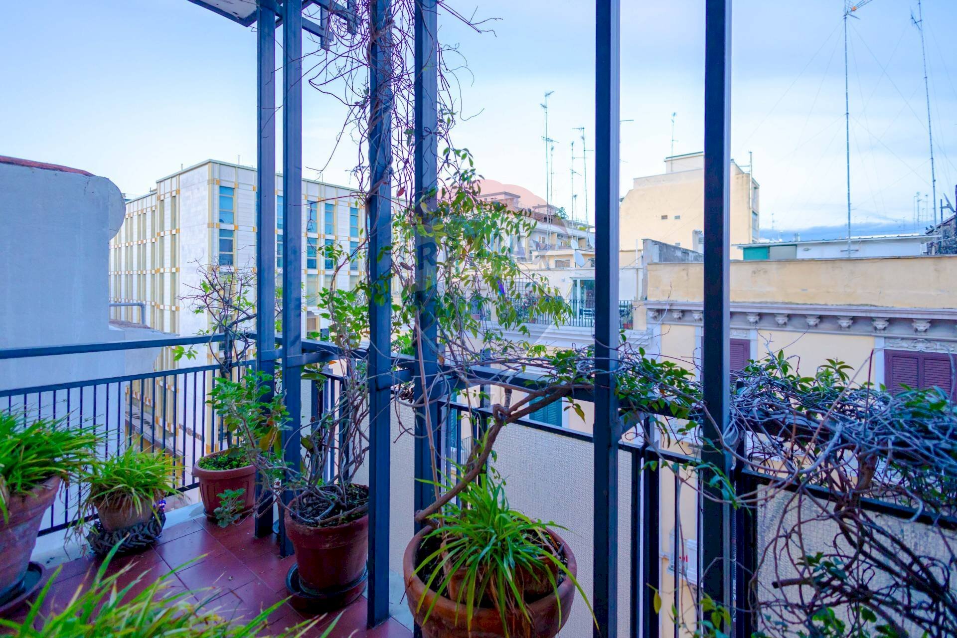 Balcone - Appartamento Via Cairoli
 
51, Bari - foto 3