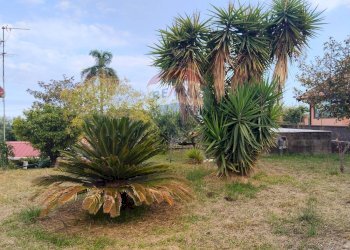 Giardino - Villa Via Barbagallo
 
11, Acireale - foto 11