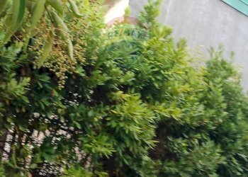 Giardino - Villa Via Barbagallo
 
11, Acireale - foto 14