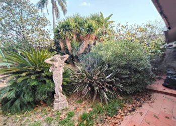 Giardino - Villa Via Barbagallo
 
11, Acireale - foto 27