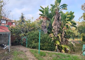 Giardino - Villa Via Barbagallo
 
11, Acireale - foto 80