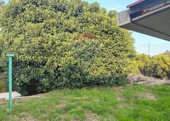 Giardino - Villa Via Barbagallo
 
11, Acireale - foto 84