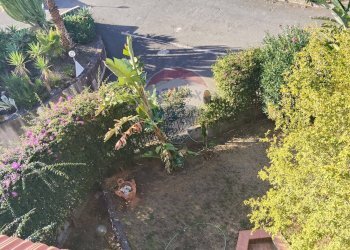 Giardino - Appartamento Viale Angelo Vasta
 
4, Catania - foto 56