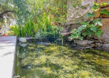 Giardino - Independent house CONTRADA CAMPANA
 
SN, Melilli - photo 9