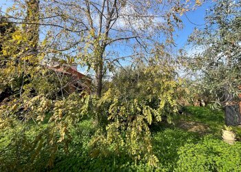 Giardino - Independent house CONTRADA CAMPANA
 
SN, Melilli - photo 26