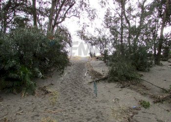 Giardino - Casa indipendente Via Spiaggia
 
179, Mascali - foto 21