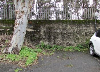 Giardino - Casa indipendente Via Spiaggia
 
179, Mascali - foto 20