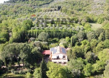 Vista delle montagne - Villa Magione - photo 51