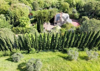Giardino - Villa Magione - photo 55