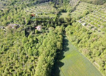 Vista delle montagne - Villa Magione - photo 66