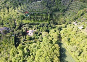 Vista delle montagne - Villa Magione - photo 68