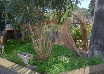 Giardino - Appartamento Via Livorno
 
77, Aci Castello - foto 8