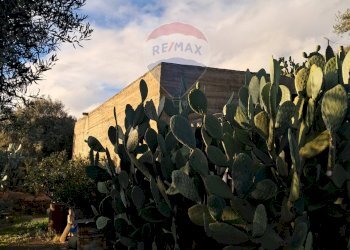 Edificio all\'aperto - Terreno edificabile via giuseppe tomasi di lampedusa
 
S/N, Santa Maria di Licodia - foto 10