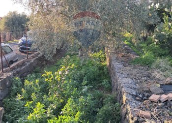 Giardino - Terreno edificabile via giuseppe tomasi di lampedusa
 
S/N, Santa Maria di Licodia - foto 14