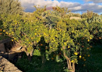 Giardino - Terreno edificabile via giuseppe tomasi di lampedusa
 
S/N, Santa Maria di Licodia - foto 16