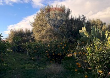 Giardino - Terreno edificabile via giuseppe tomasi di lampedusa
 
S/N, Santa Maria di Licodia - foto 17