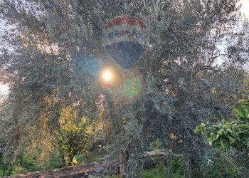 Giardino - Terreno edificabile via giuseppe tomasi di lampedusa
 
S/N, Santa Maria di Licodia - foto 18