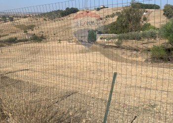 Foto 2 - Agricultural land Caltanissetta - photo 2