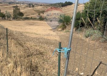 Foto 3 - Agricultural land Caltanissetta - photo 3