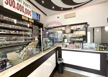 Dispensa di stoccaggio - Attività Commerciale Arese - foto 6