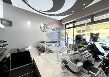 Palestra - Attività Commerciale Arese - foto 8