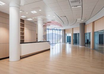 Ricezione / Lobby - Ufficio Via Del Lino
 
36, Casalmaggiore - foto 1