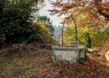 Foto 41 - Villa Via Pinin Pacot, Torino - foto 41